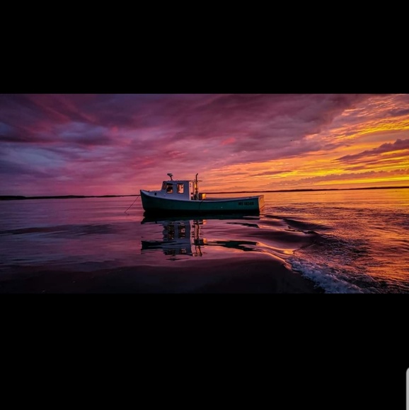 Meet your Posher, Missy - Picture 1 of 1